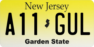 NJ license plate A11GUL