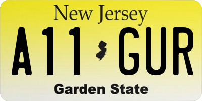 NJ license plate A11GUR