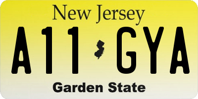 NJ license plate A11GYA