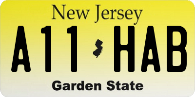 NJ license plate A11HAB