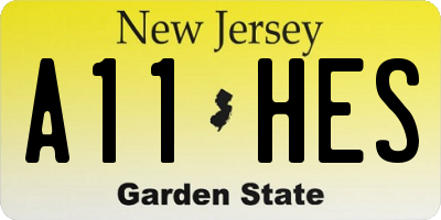 NJ license plate A11HES