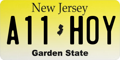 NJ license plate A11HOY