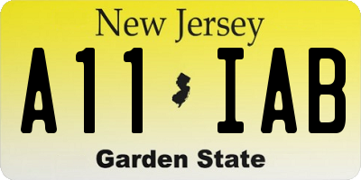NJ license plate A11IAB