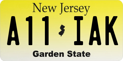 NJ license plate A11IAK