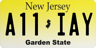 NJ license plate A11IAY