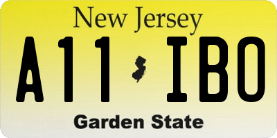 NJ license plate A11IBO