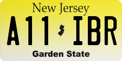 NJ license plate A11IBR