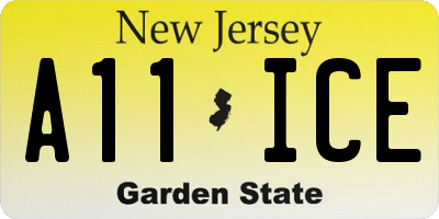 NJ license plate A11ICE