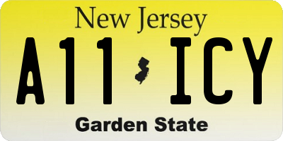 NJ license plate A11ICY