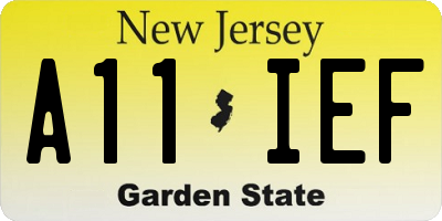 NJ license plate A11IEF