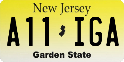 NJ license plate A11IGA