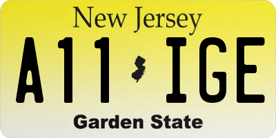 NJ license plate A11IGE