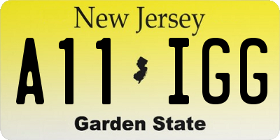 NJ license plate A11IGG