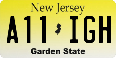NJ license plate A11IGH