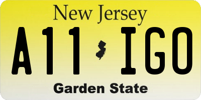 NJ license plate A11IGO