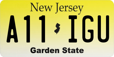 NJ license plate A11IGU