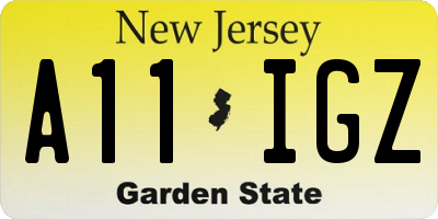 NJ license plate A11IGZ