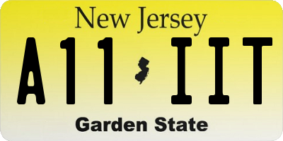 NJ license plate A11IIT