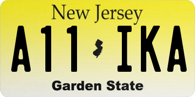 NJ license plate A11IKA