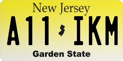 NJ license plate A11IKM