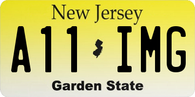 NJ license plate A11IMG