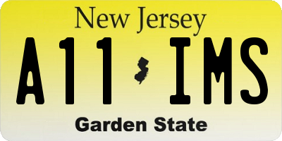 NJ license plate A11IMS