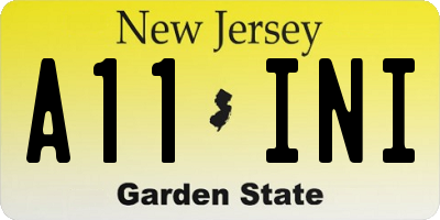 NJ license plate A11INI