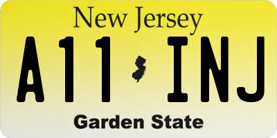 NJ license plate A11INJ