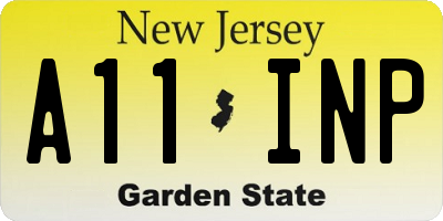 NJ license plate A11INP