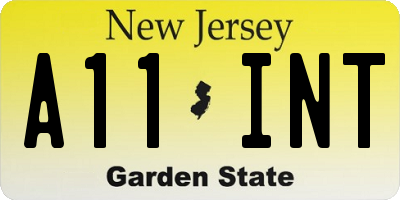 NJ license plate A11INT