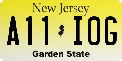 NJ license plate A11IOG