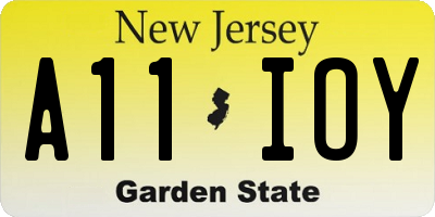 NJ license plate A11IOY