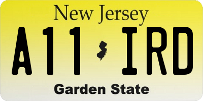 NJ license plate A11IRD