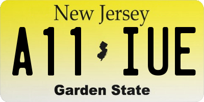 NJ license plate A11IUE