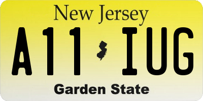 NJ license plate A11IUG