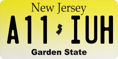 NJ license plate A11IUH