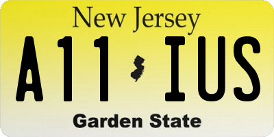 NJ license plate A11IUS