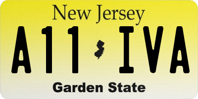 NJ license plate A11IVA
