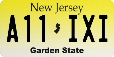 NJ license plate A11IXI