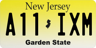 NJ license plate A11IXM