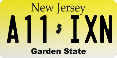 NJ license plate A11IXN