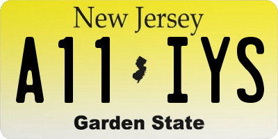 NJ license plate A11IYS