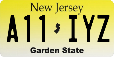NJ license plate A11IYZ