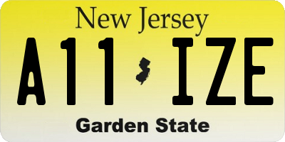 NJ license plate A11IZE