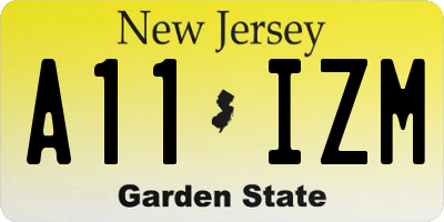 NJ license plate A11IZM