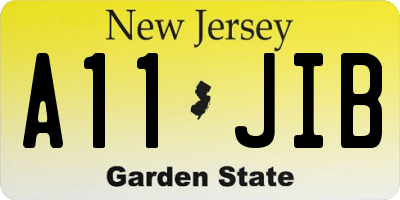 NJ license plate A11JIB
