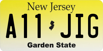 NJ license plate A11JIG