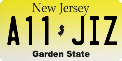 NJ license plate A11JIZ