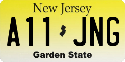 NJ license plate A11JNG