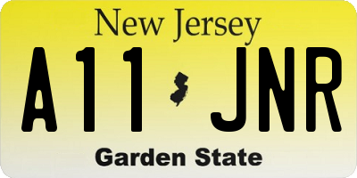 NJ license plate A11JNR